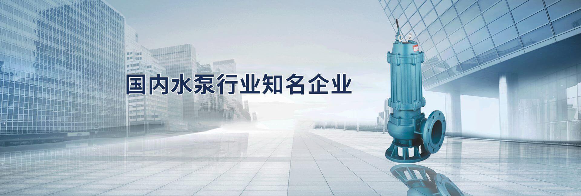 水泵行業(yè)知名品牌 